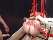 Calico turned into pig, hot waxed, and assfucked
