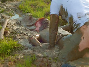 Lara Croft fucked in mud